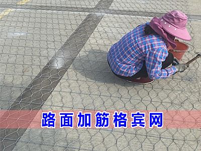 路面加筋格宾网