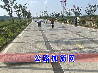 公路加筋网